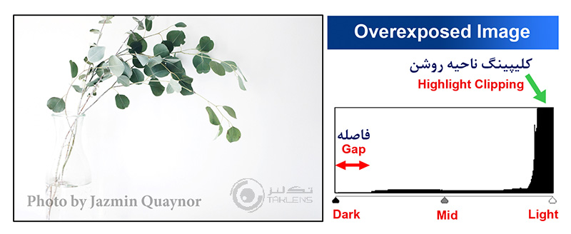 هیستوگرام 11