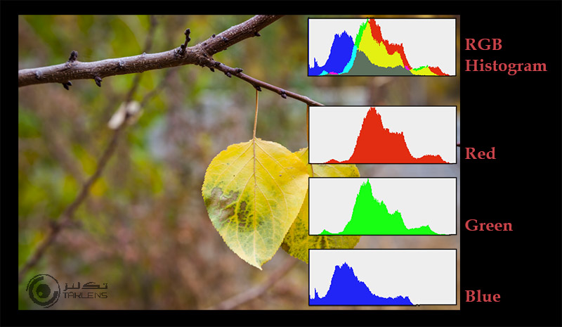 هیستوگرام 13