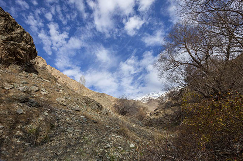 تراز سفیدی 5