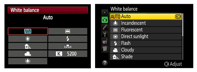 تراز سفیدی 6