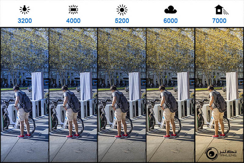 تراز سفیدی 17