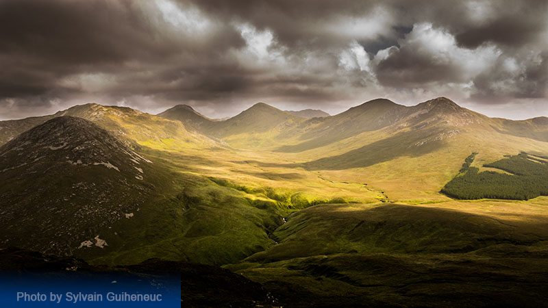 تراز سفیدی 22
