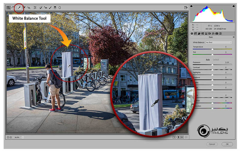 تراز سفیدی 24