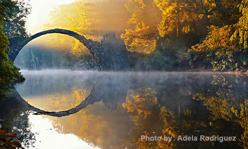 دیدگاه یک 12