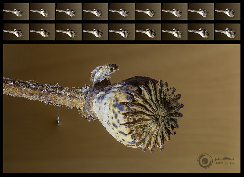 انباشت فوکوس 6