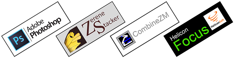 انباشت فوکوس 11