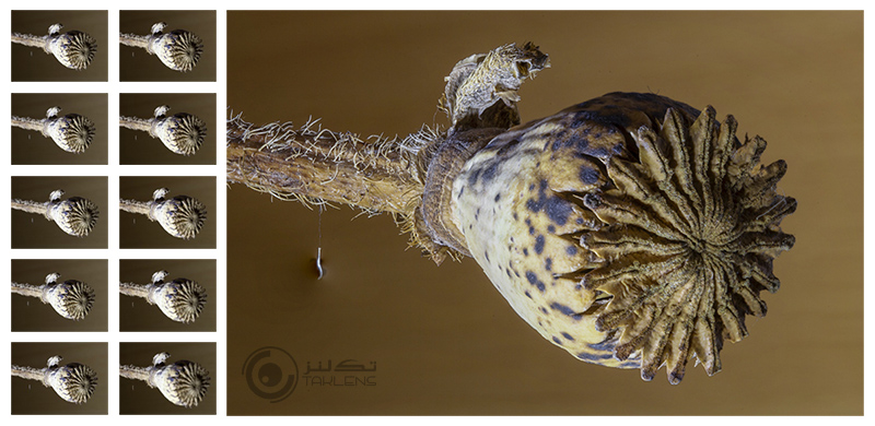 انباشت فوکوس 16