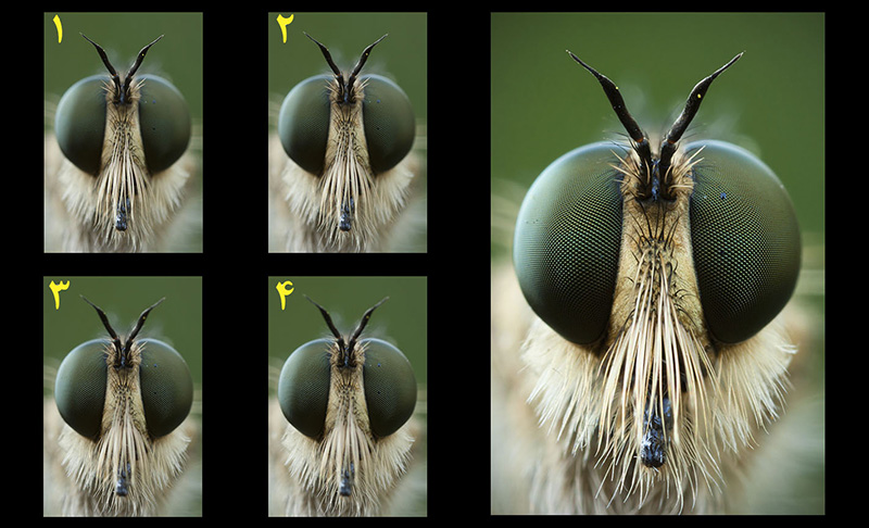 انباشت فوکوس 13