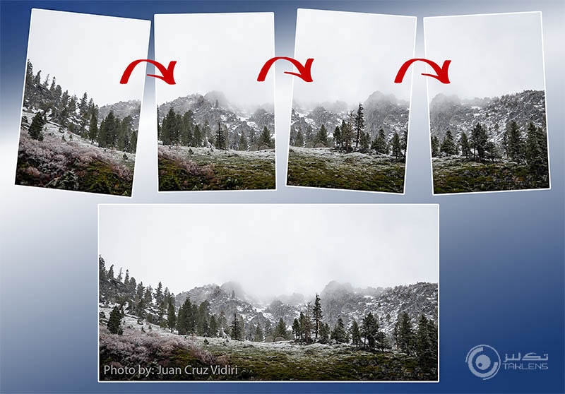 پانورامیک 17