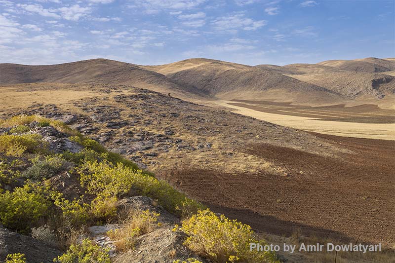 اهمیت ترکیب بندی 1