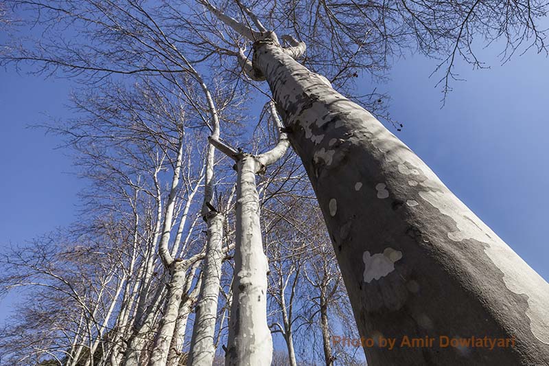 اهمیت ترکیب بندی 3