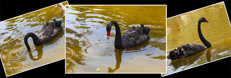 اهمیت ترکیب بندی 6