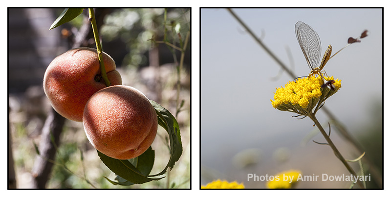 عناصر پایه 1 3