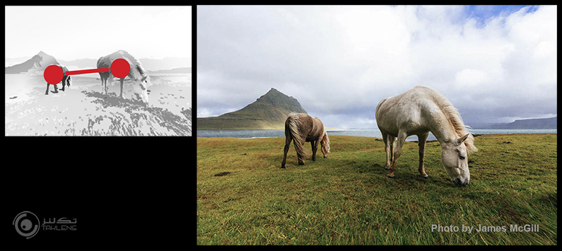 عناصر پایه 1 10