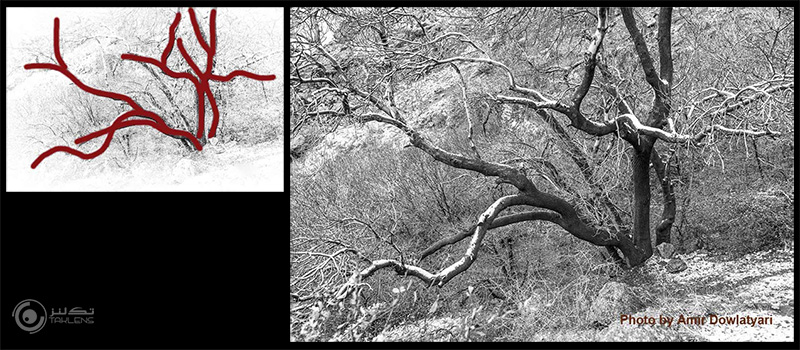 عناصر پایه 2 10