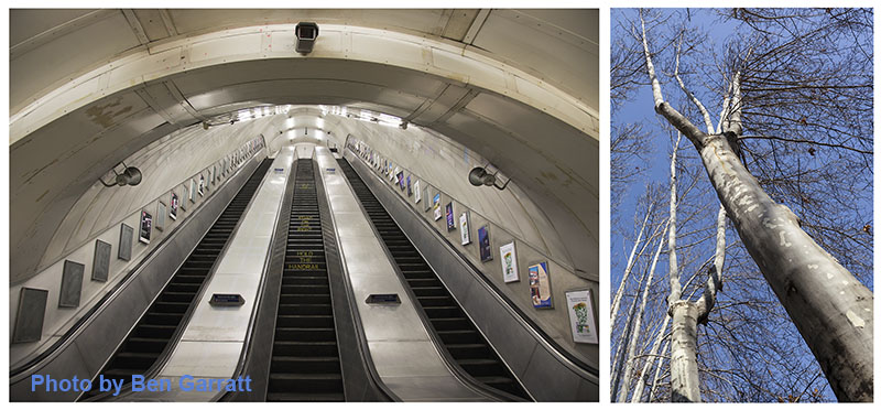 عناصر پایه 2 13