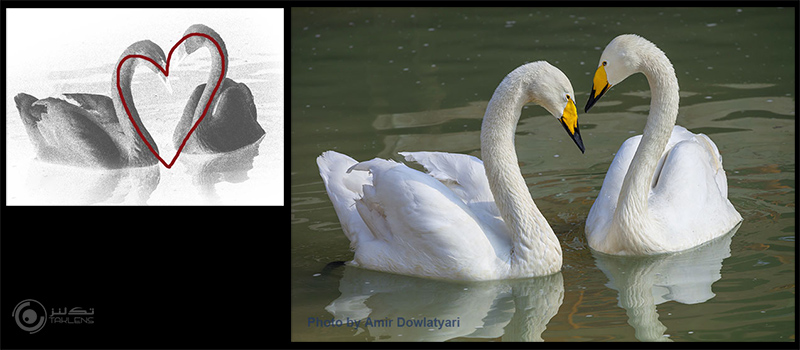 عناصر پایه 2 14