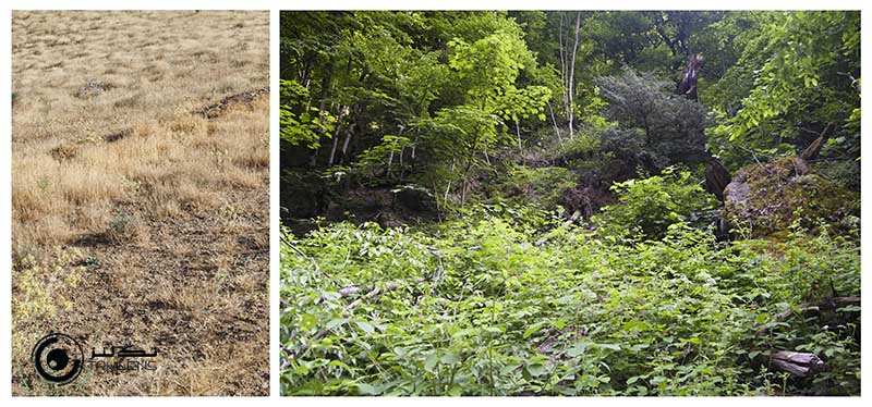 عناصر پایه 3 7