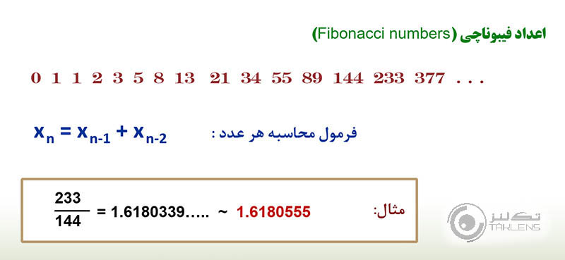 نسبت طلایی 2
