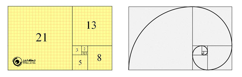 نسبت طلایی 4