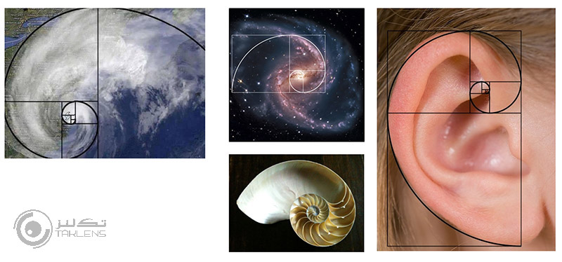 نسبت طلایی 5