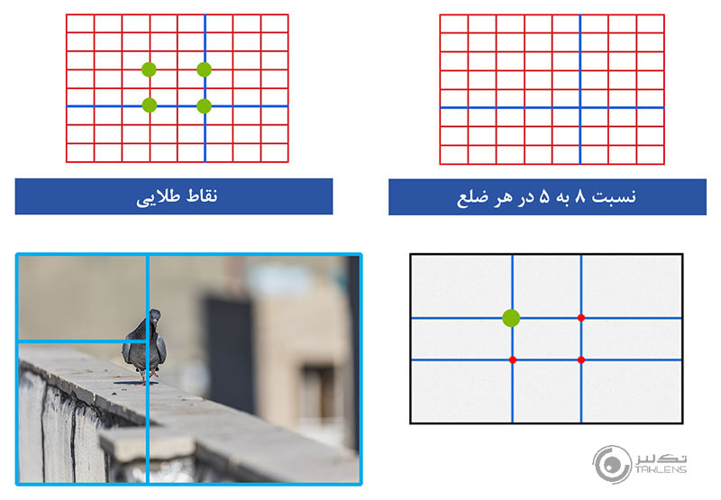 نسبت طلایی 7