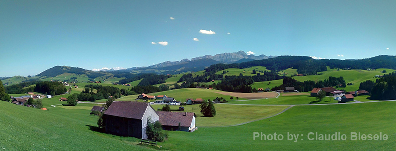 پانورامیک 2