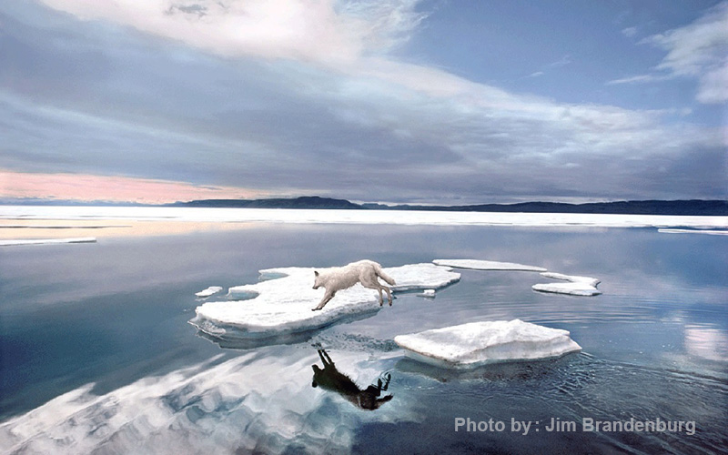 جیم برندبرگ  13