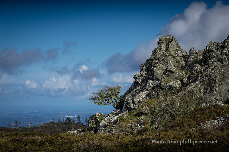 شاتر پرده جلو 9