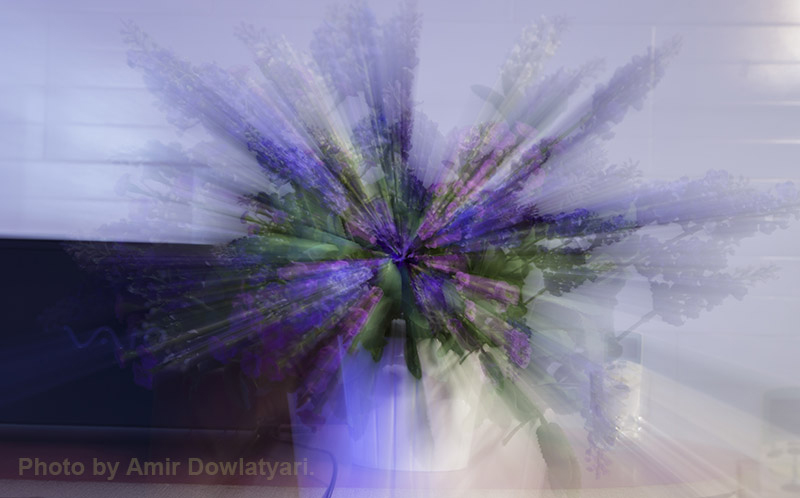 تاری با زوم 5