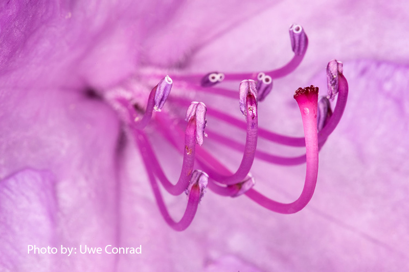 استفاده رنگ 3