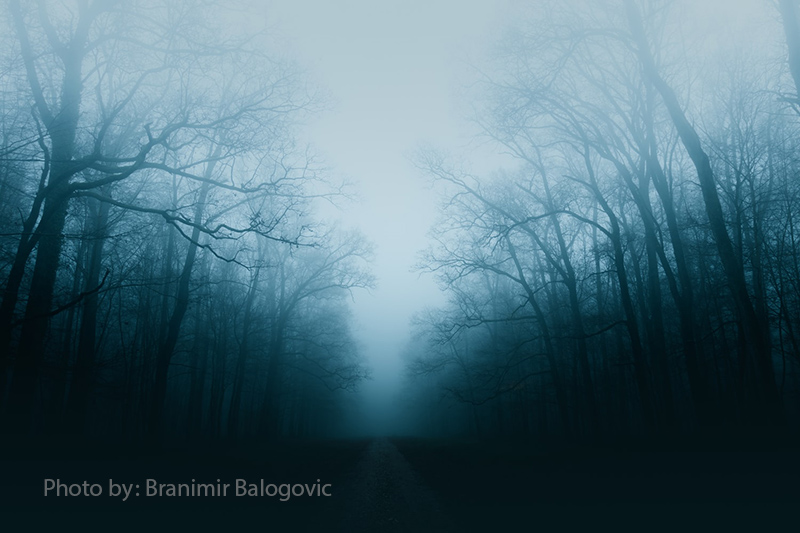 استفاده رنگ 7