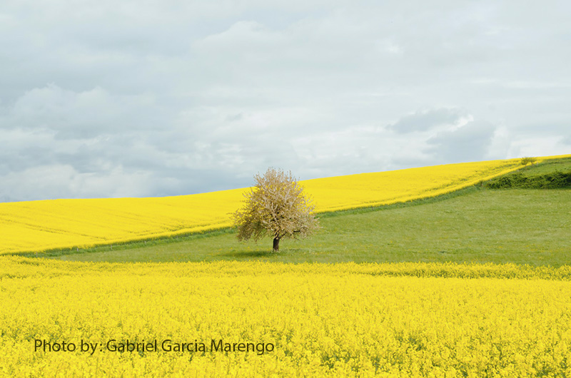 استفاده رنگ 10