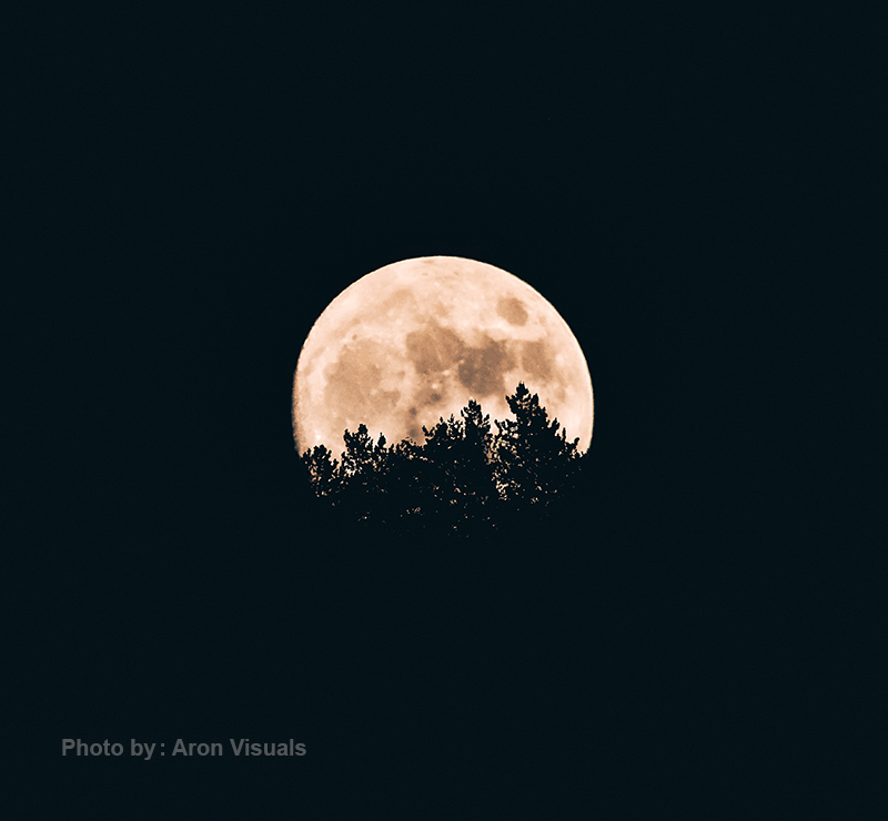 عکاسی ماه 16