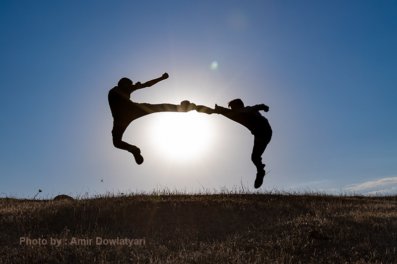 عکاسی پرشی 8