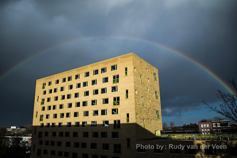 فیلتر پلاریزه 21