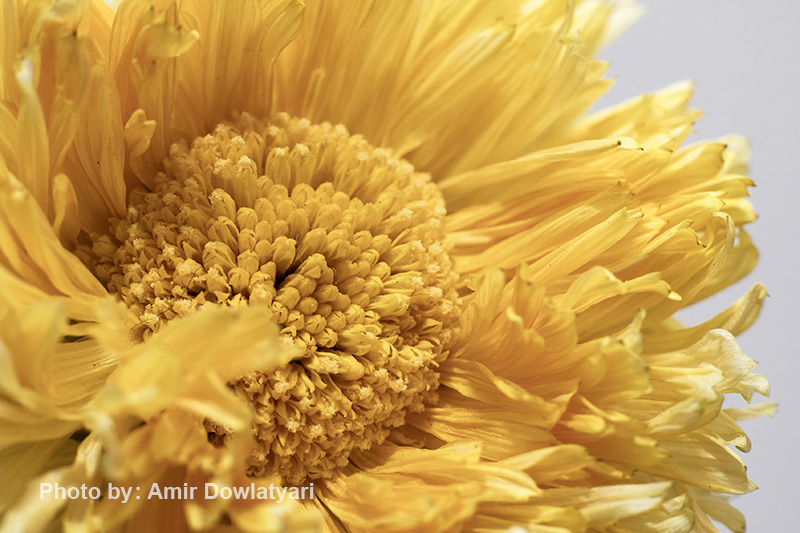 لوله گسترش 6