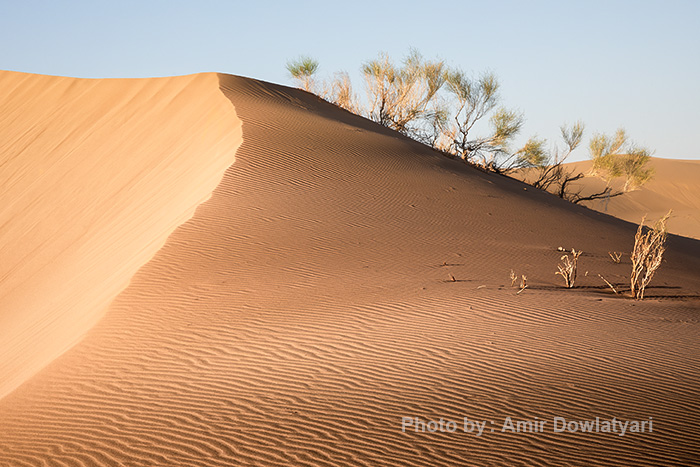 نکات آموزشی 2