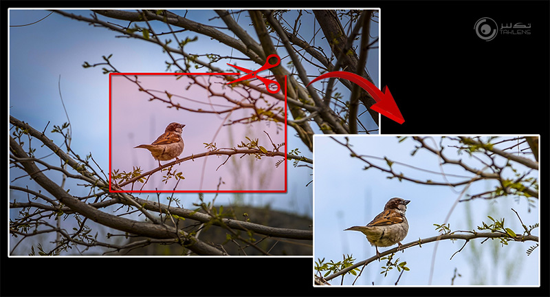 زوم دیجیتال 4