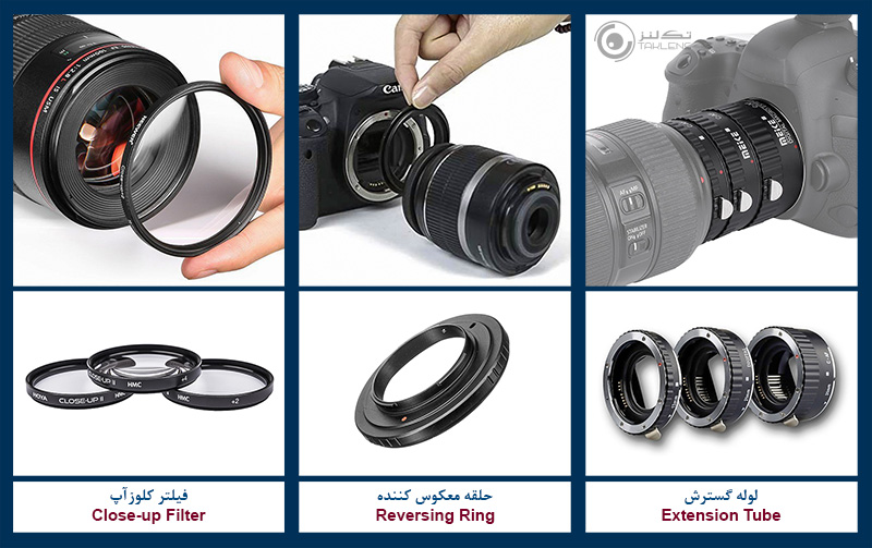 عکاسی از گل 3