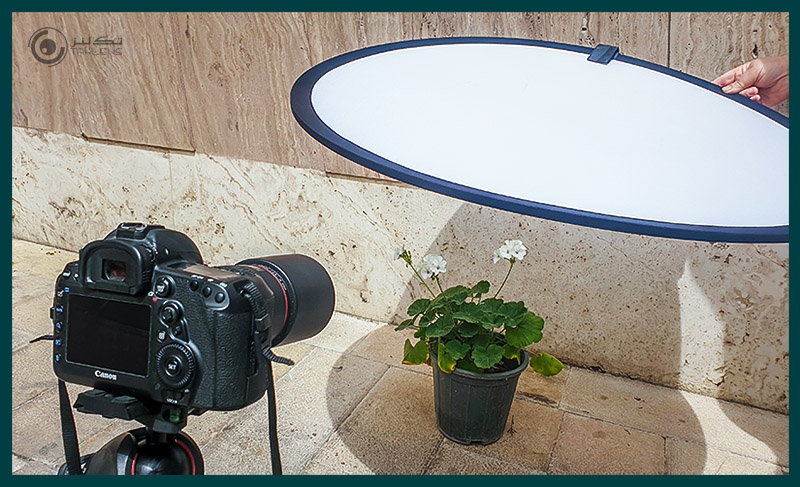 عکاسی از گل 14