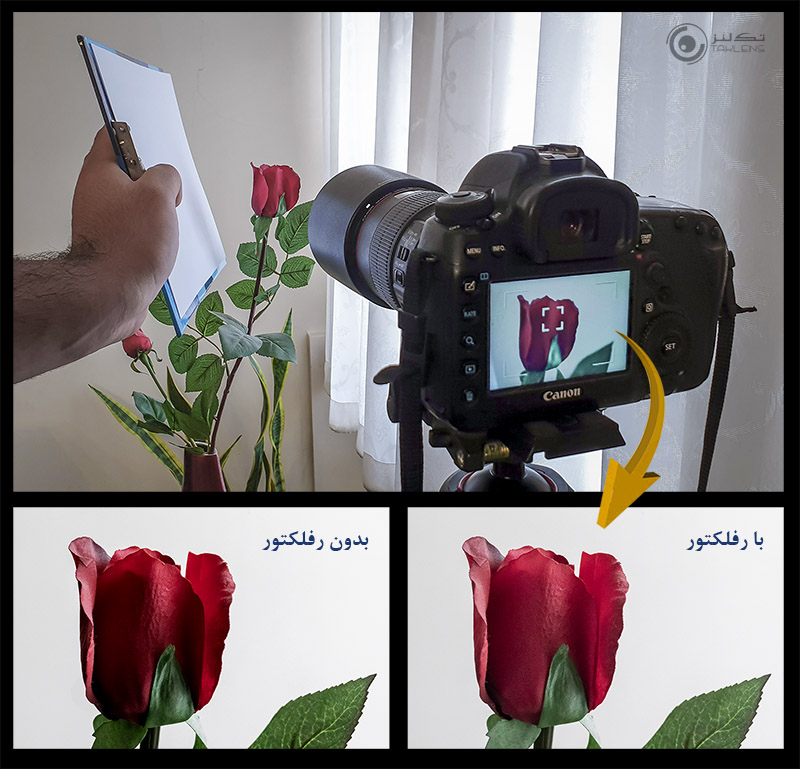 عکاسی از گل 16