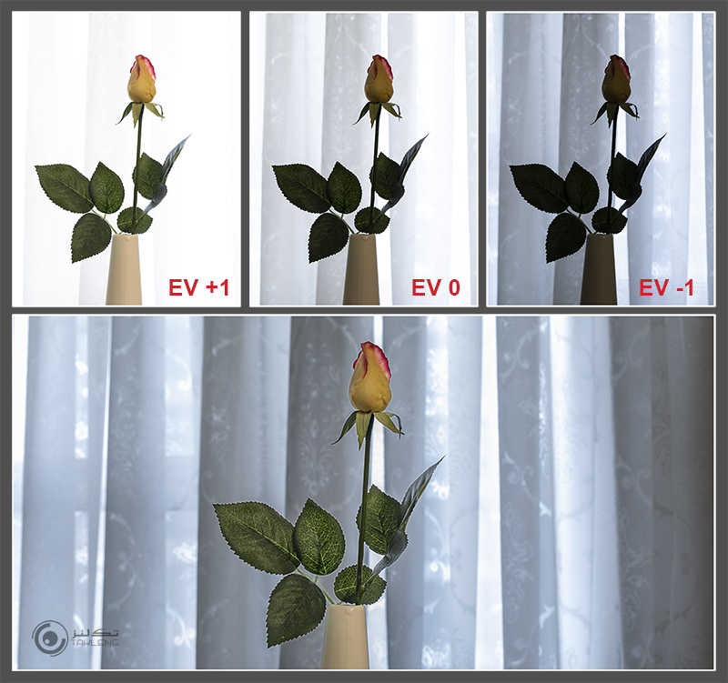 عکاسی از گل 17