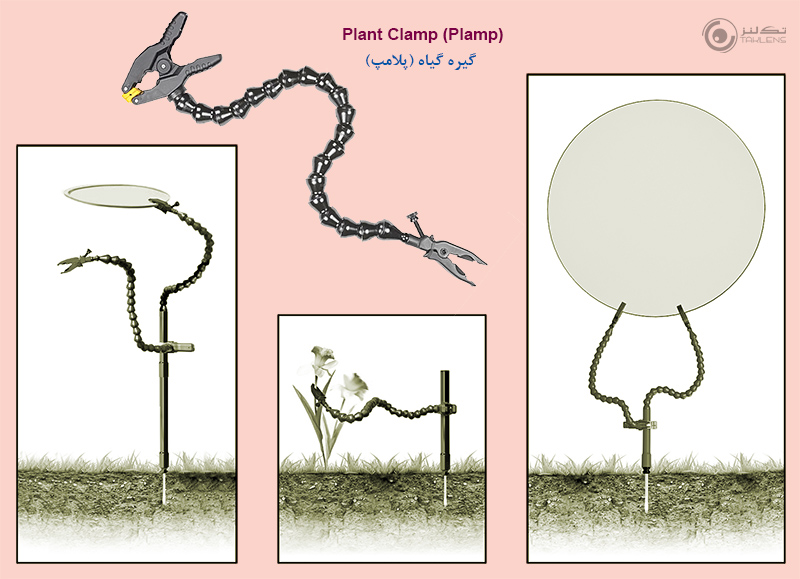 عکاسی از گل 23