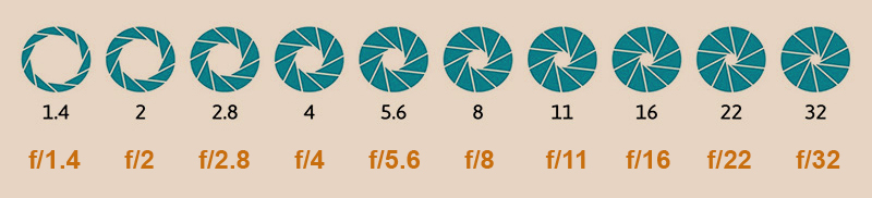 دیافراگم B 3