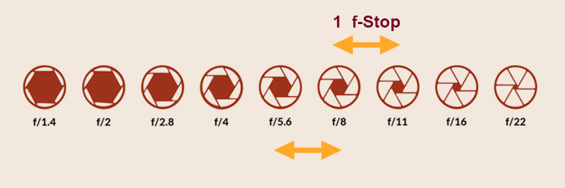 دیافراگم B 4