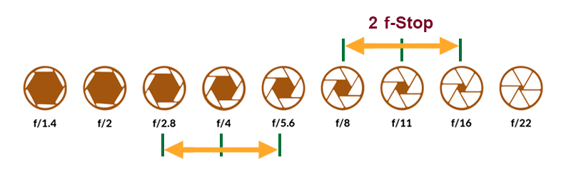 دیافراگم B 5