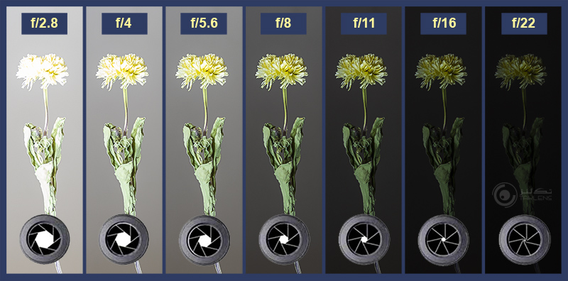 دیافراگم B 8