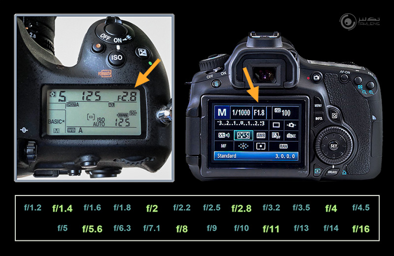 دیافراگم B 9