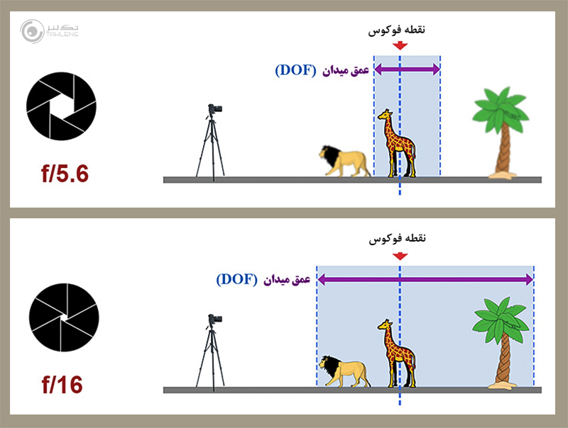 دیافراگم B 10